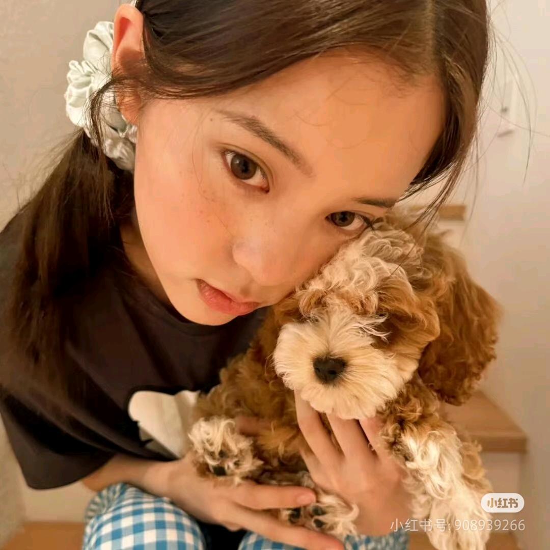 只吃画的饼