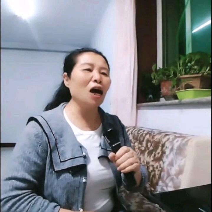 琴之声