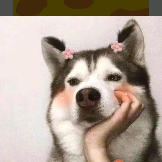 小东很搞笑