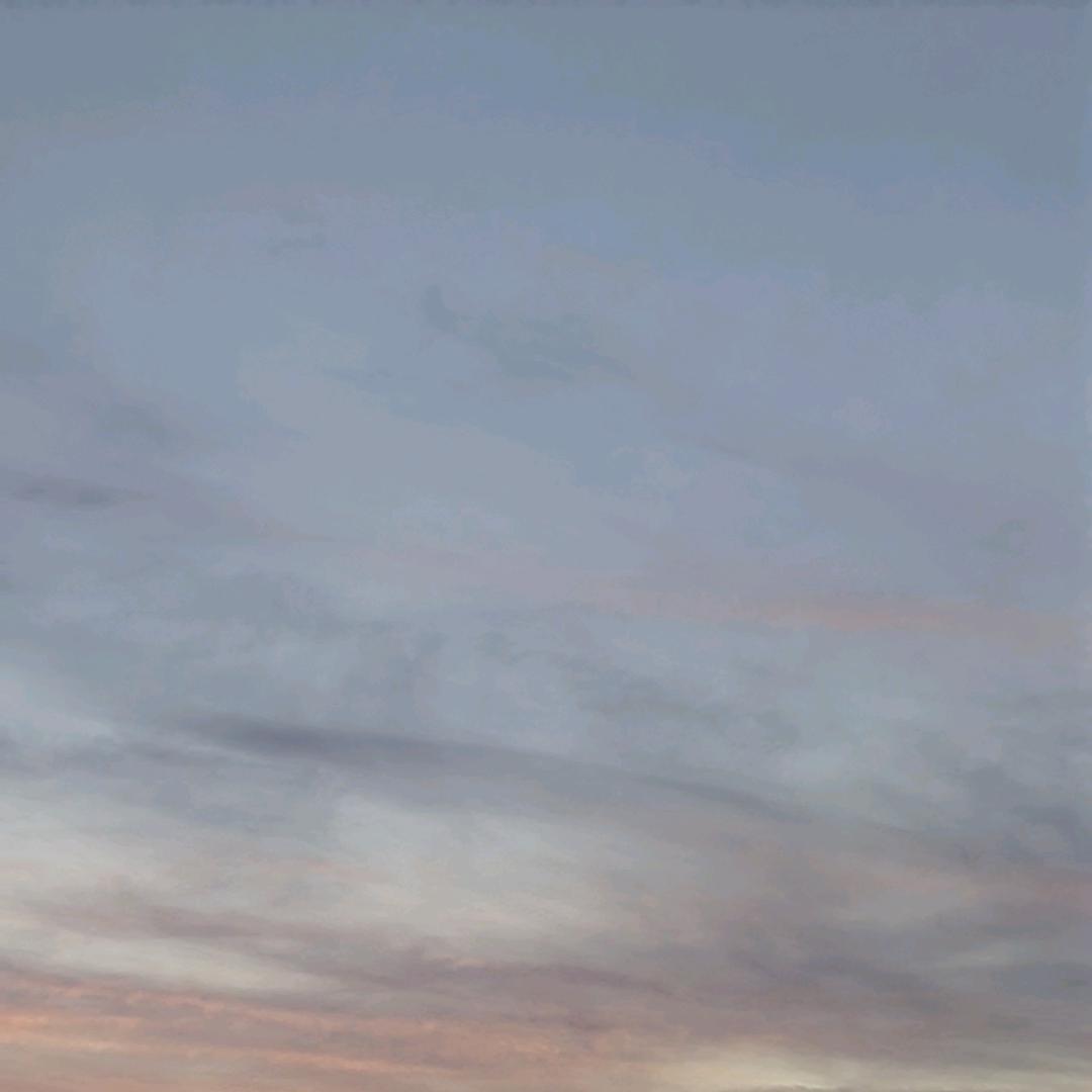 回收阿胶 出售阿胶 代熬