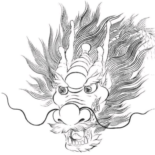 腾飞龙