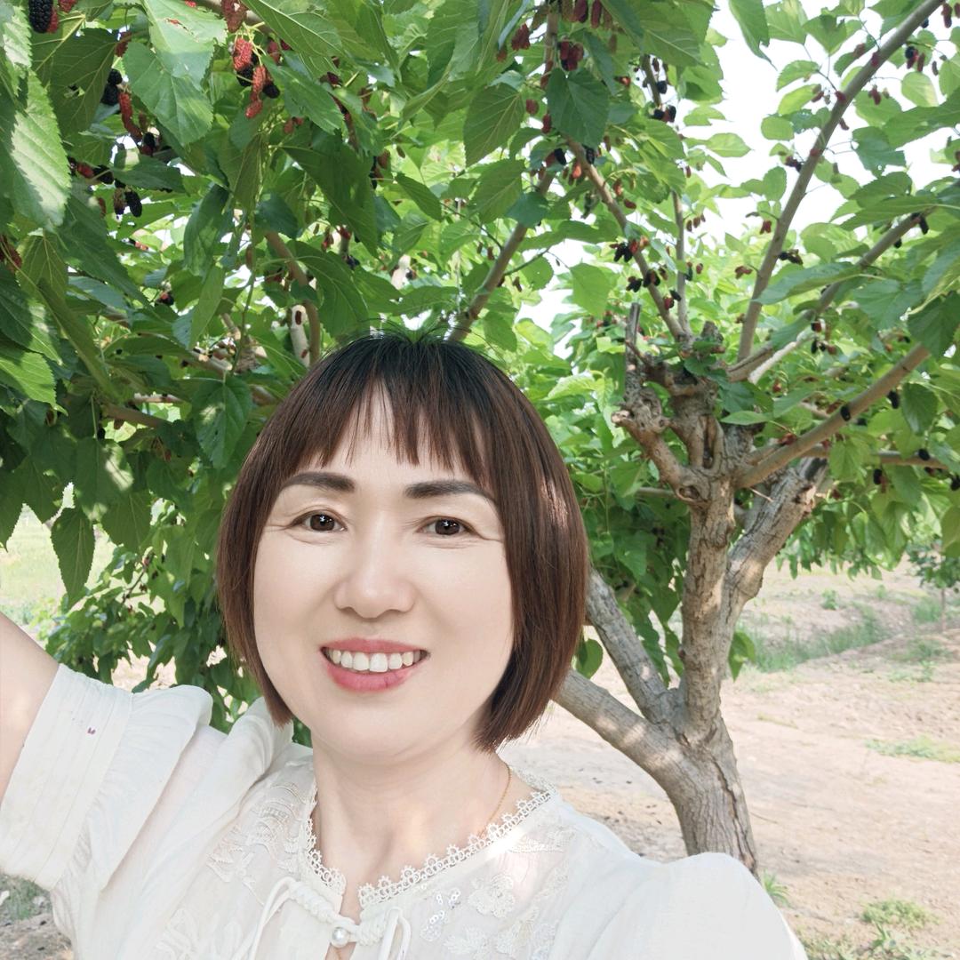 珍姐（首播筹备中）