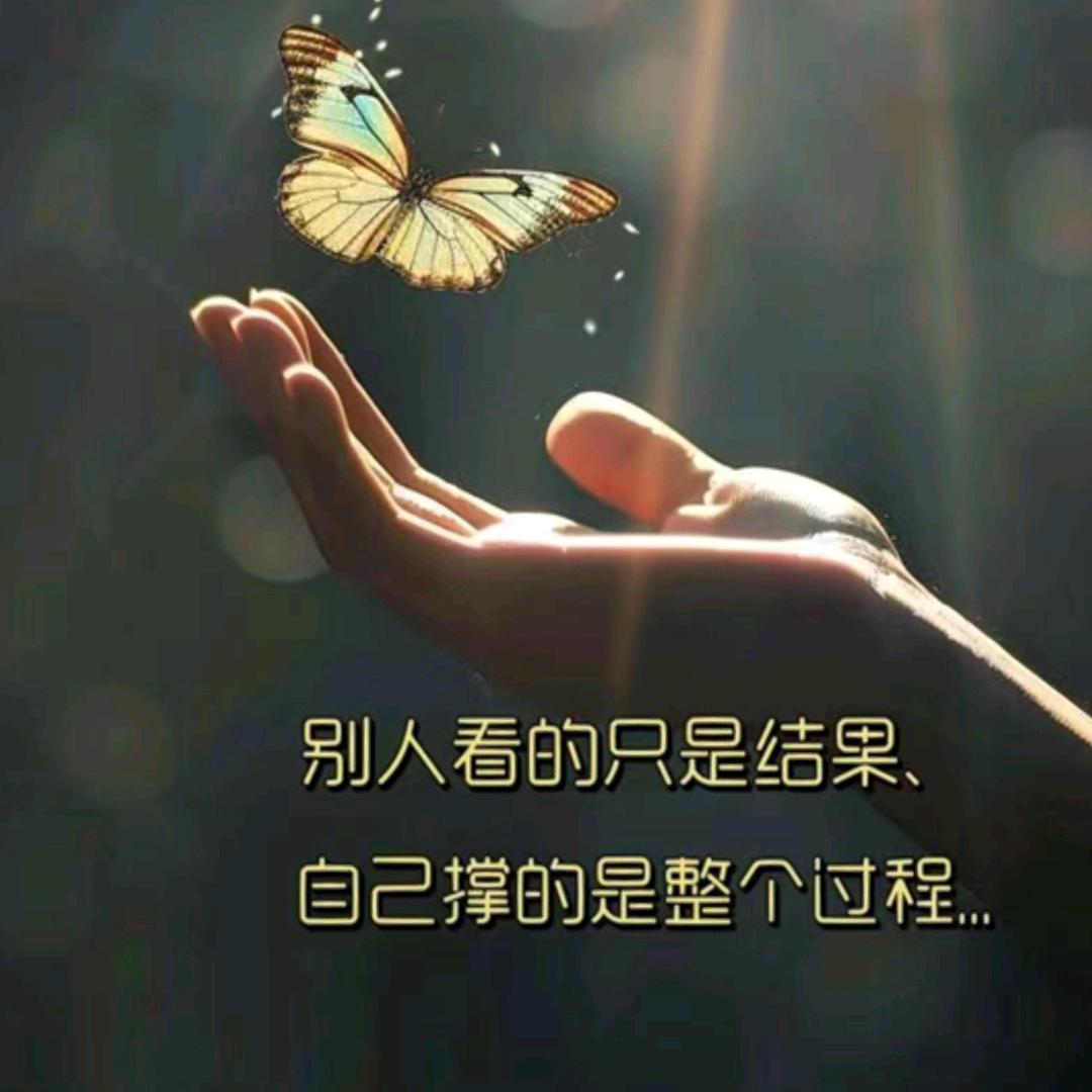 🎉🎀开心果呀🎀🎉(՞•Ꙫ•՞)ﾉ