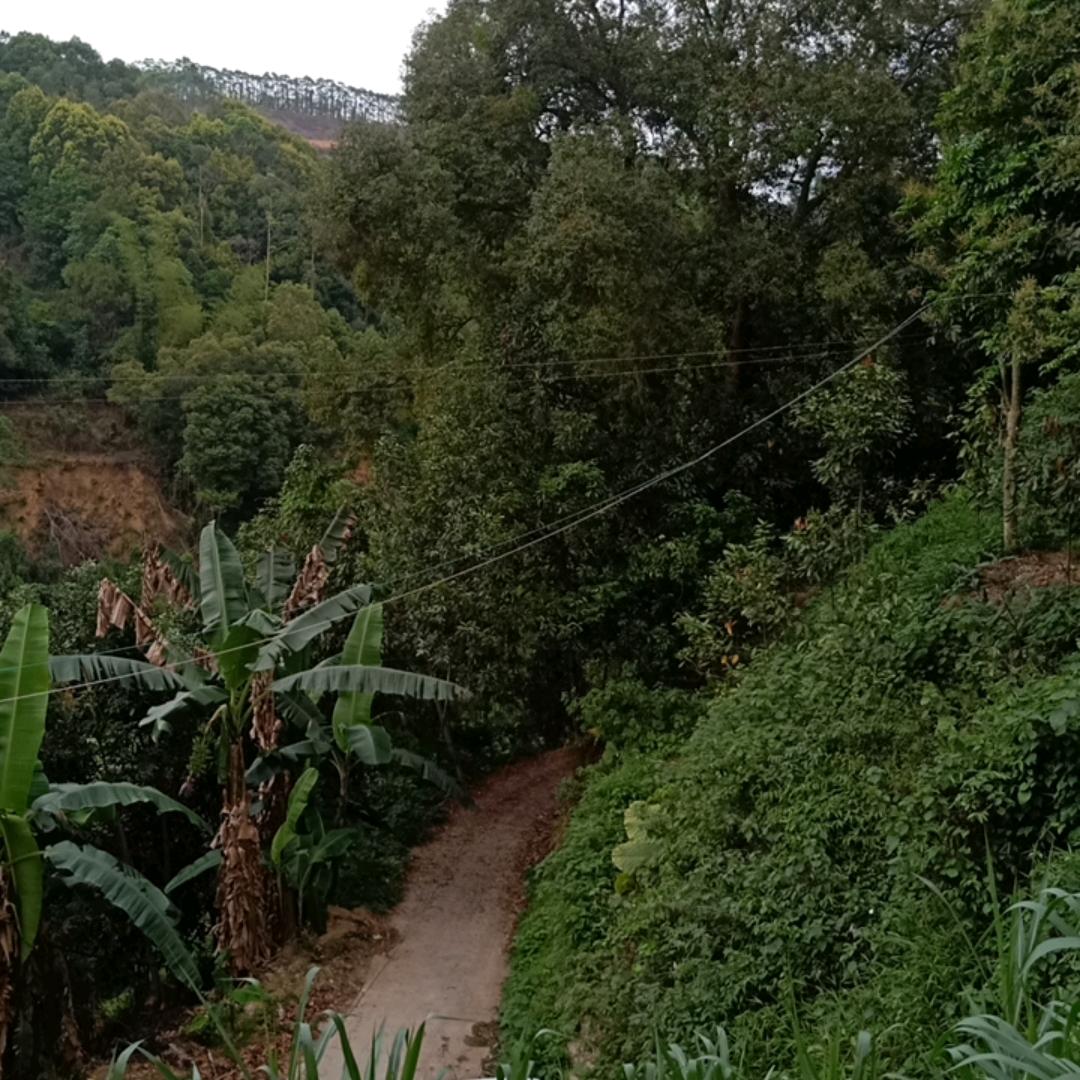 小万哥752