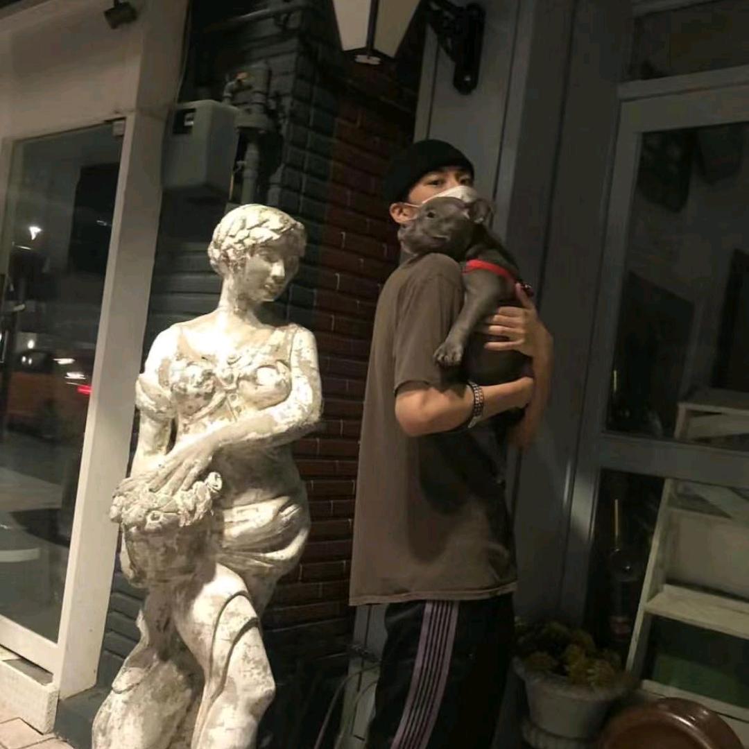 敬清秋.