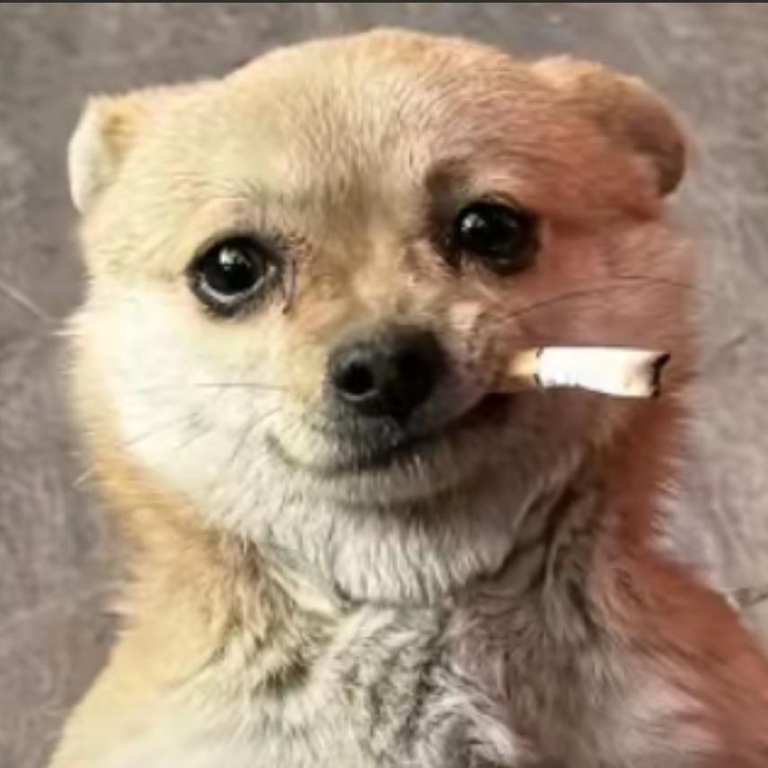 别叫我吃水里游的