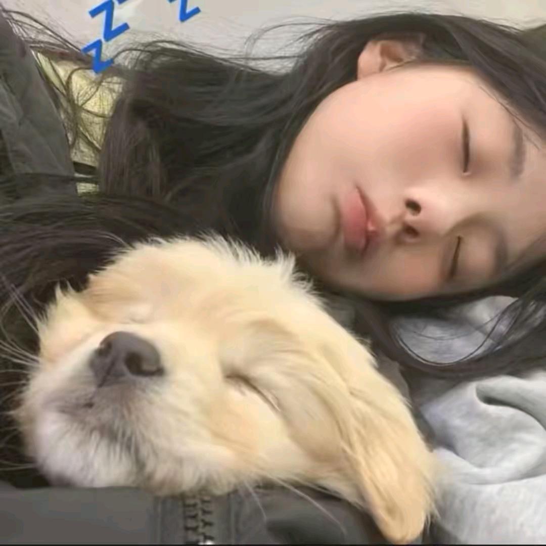 哥情绪零碎