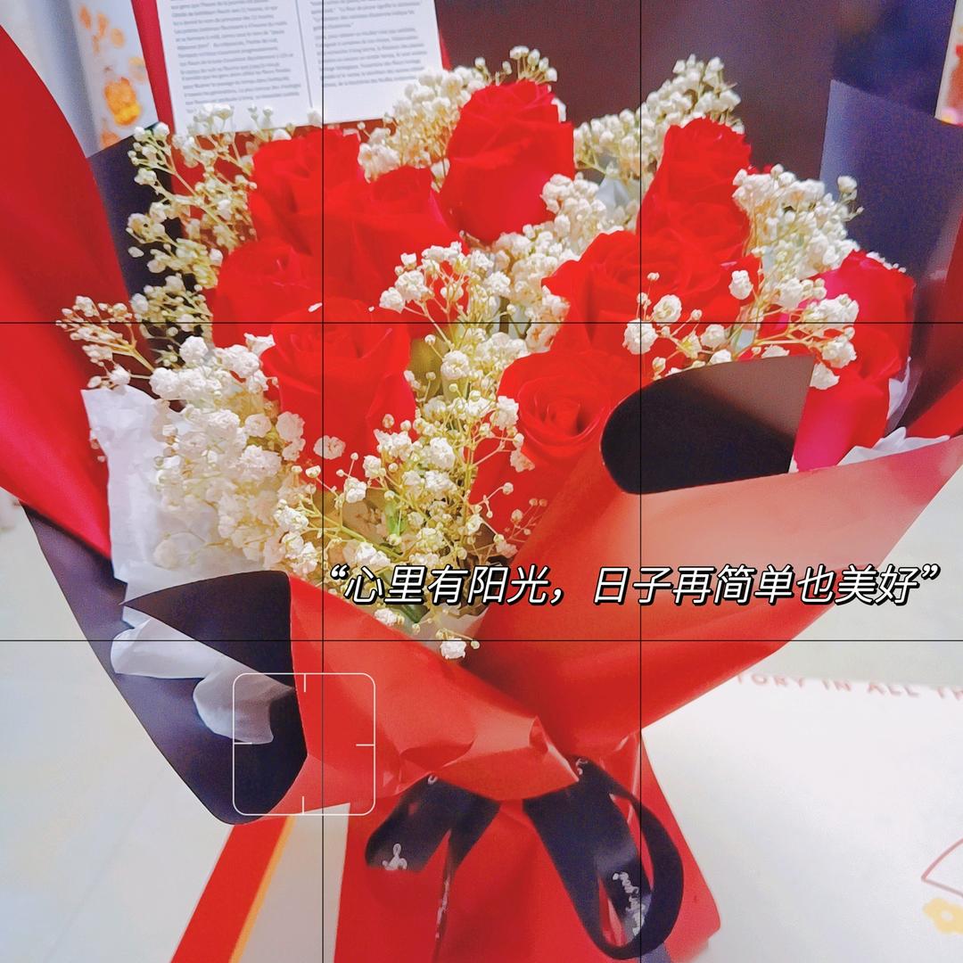 努力生长的小草