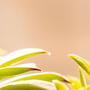 突然唔肯要我发