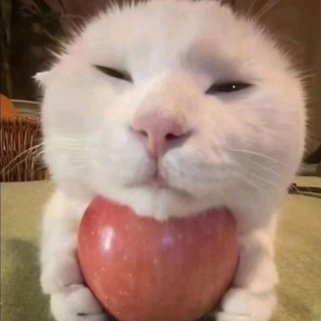 在成都cos0被当成1NaOH