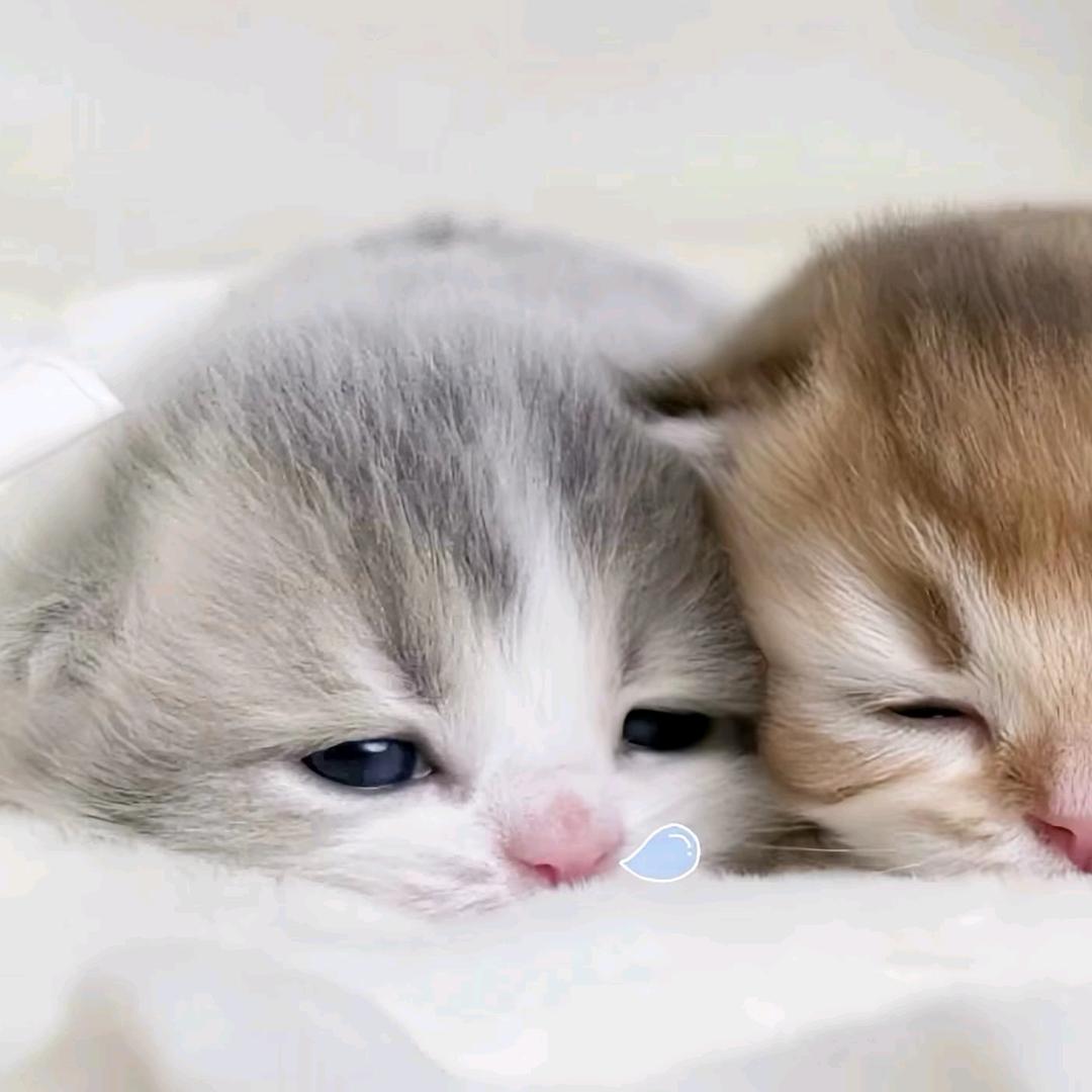 周周控ヾ(≧∪≦*)ノ〃