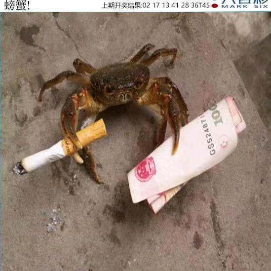 🈚
