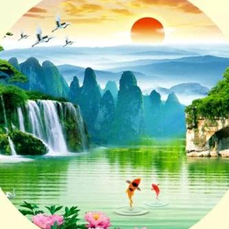 如鱼🐠得水