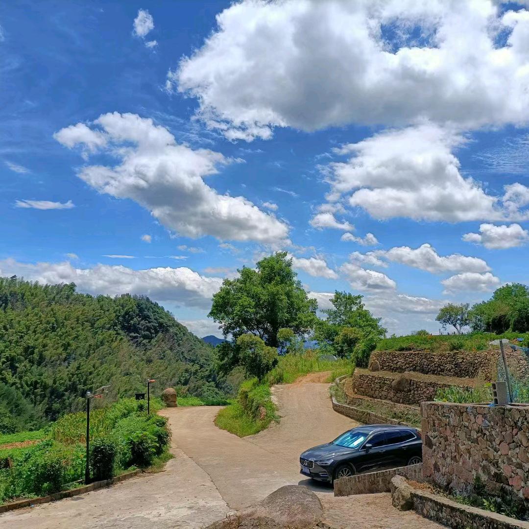 隐山里，遇见东篱