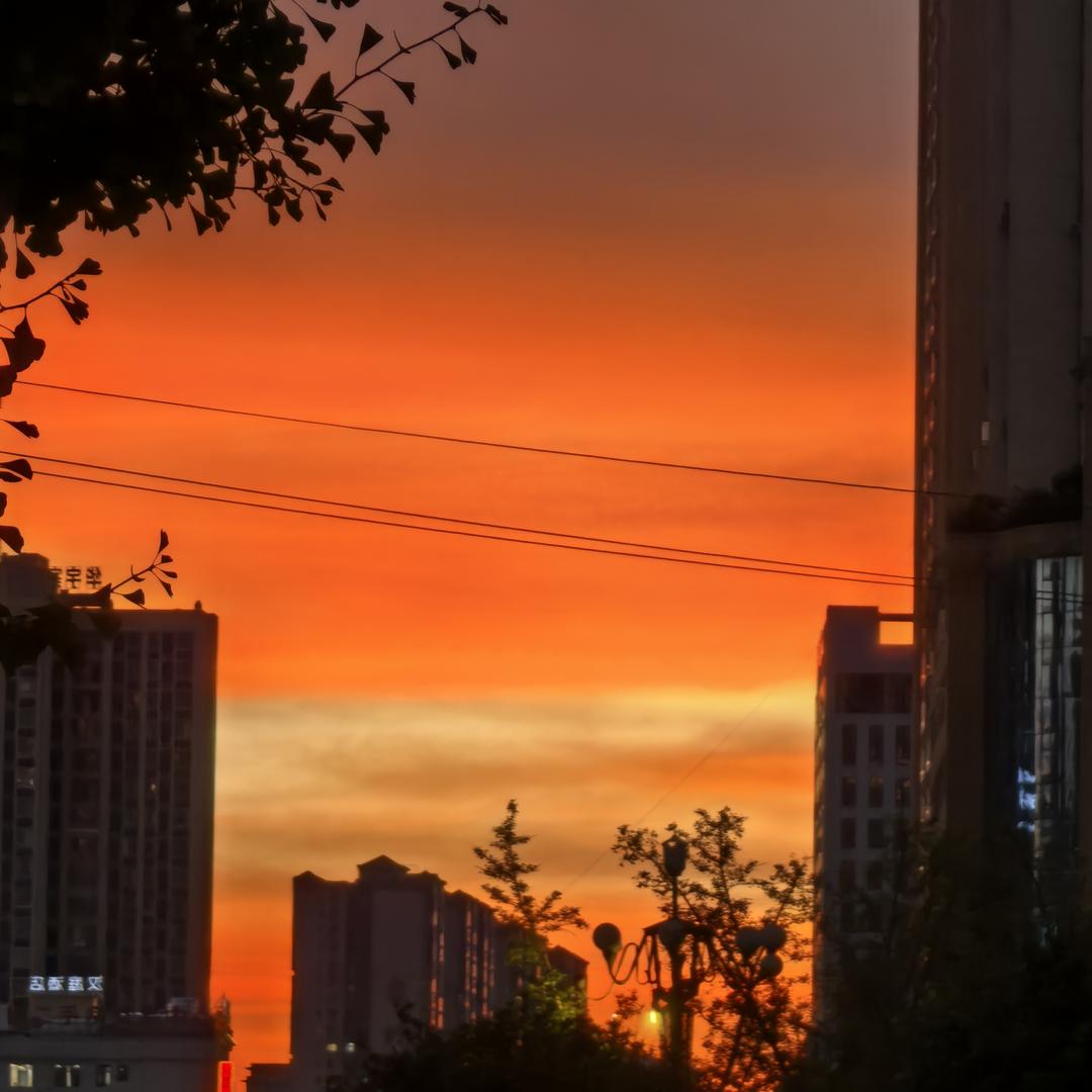 琥珀之心Johnson