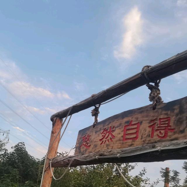 缘