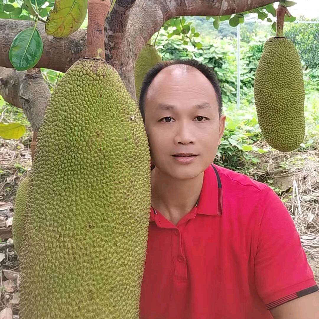 唇齿留香