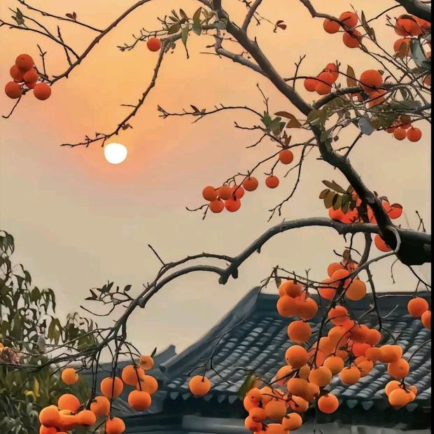 肖海