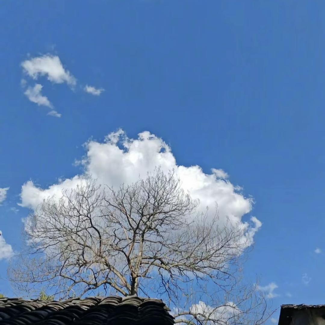 透析夫妇（送外卖维持生活版）