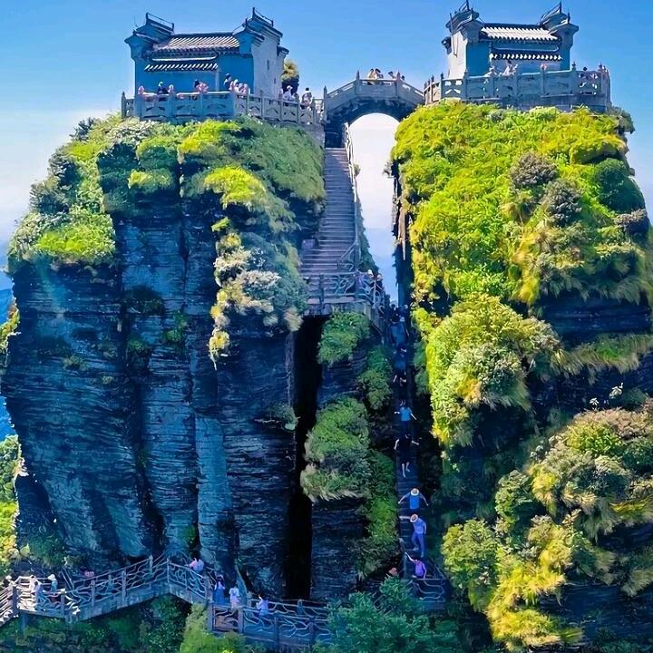 马哥吉祥如意8786