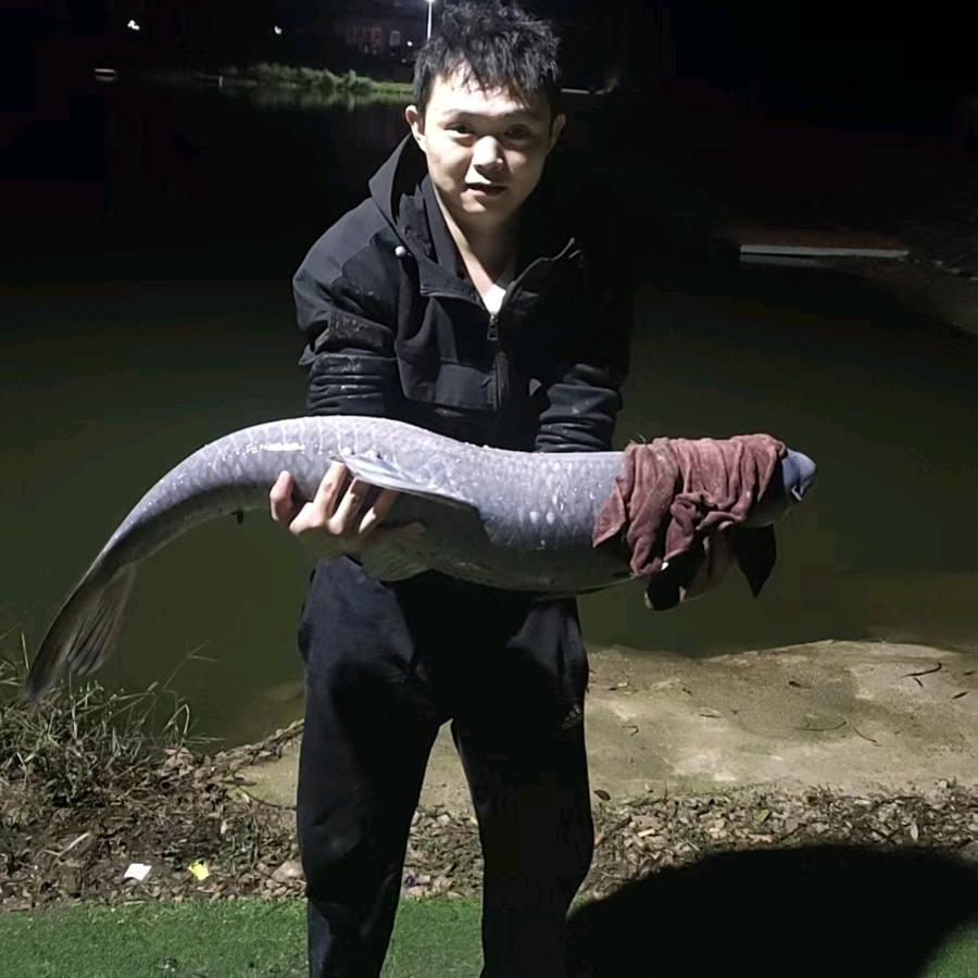 小黑钓鱼🎣