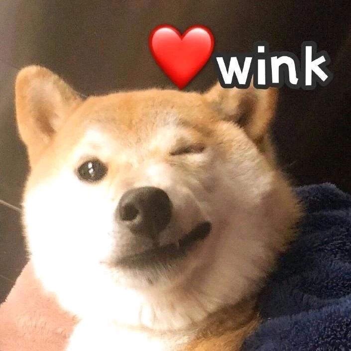 为何爱你如履薄冰