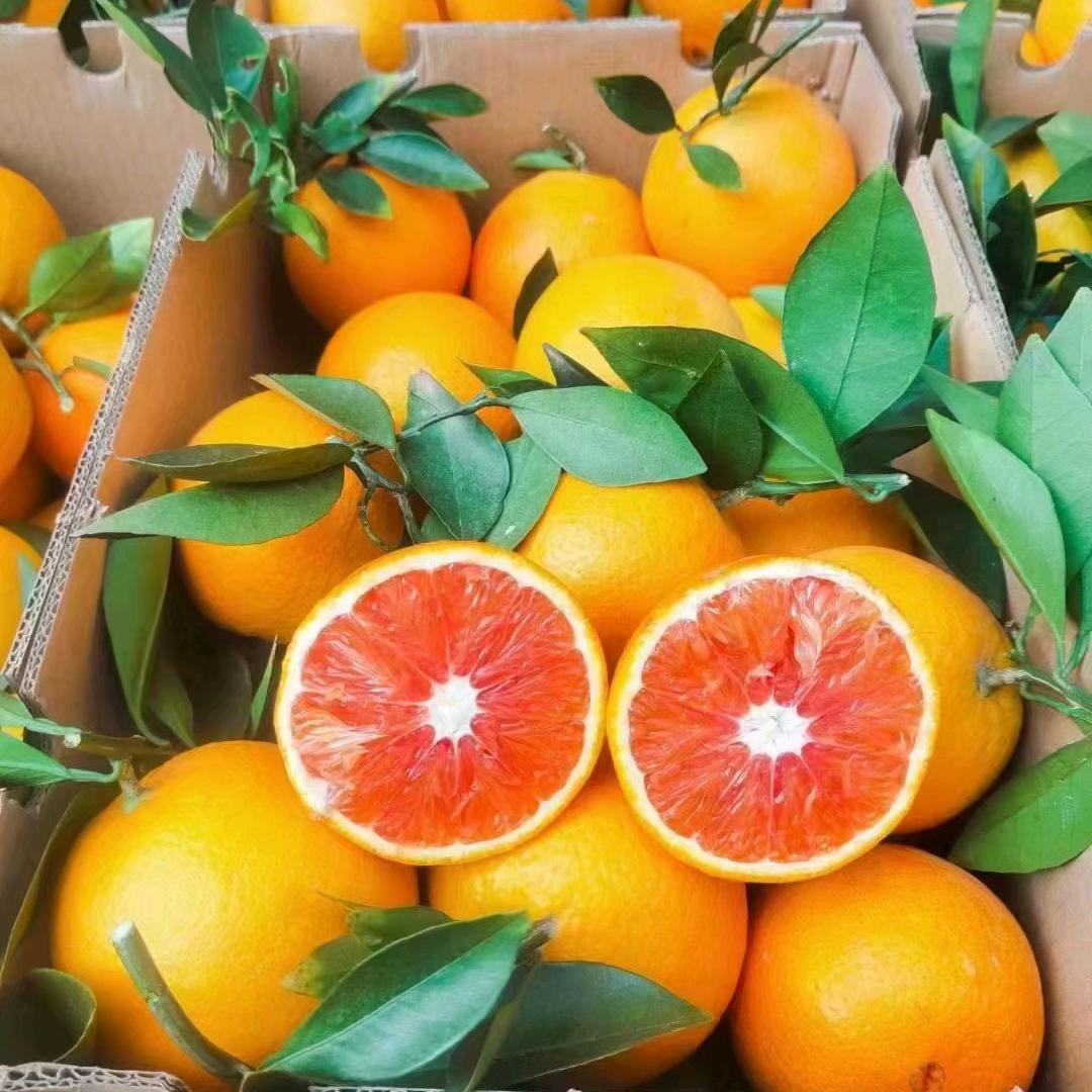 赣南脐橙代办一件代发供应链