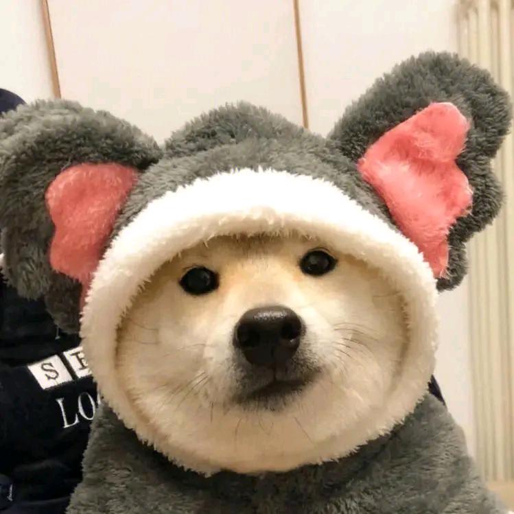 泡泡玛特