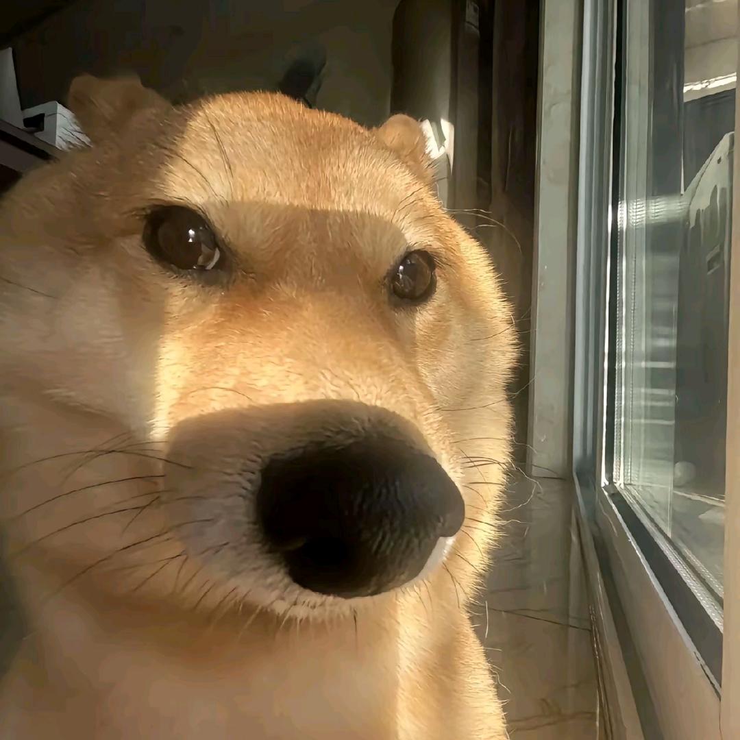 畅远.
