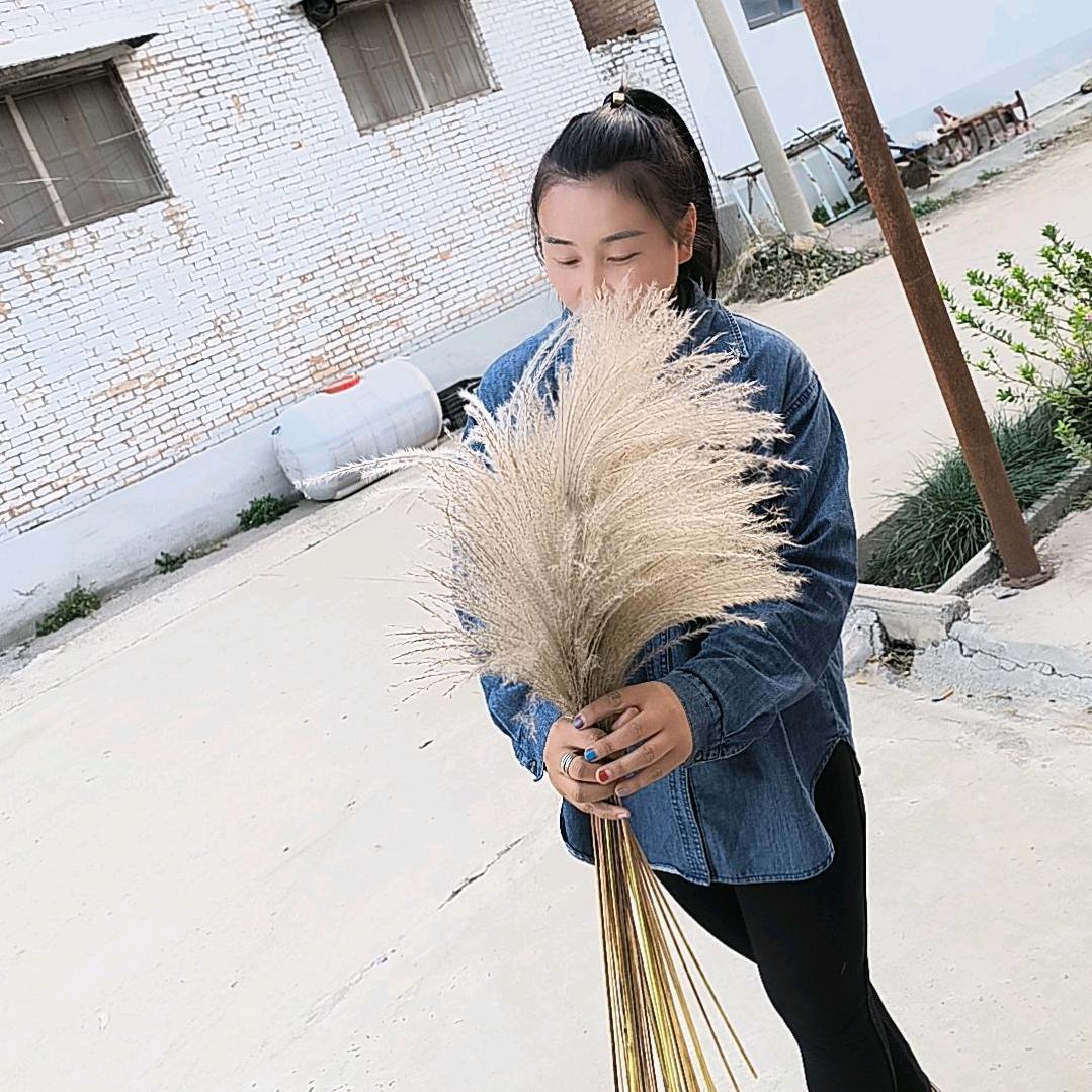 乐悠刘