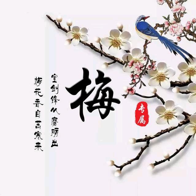 梅烦脑