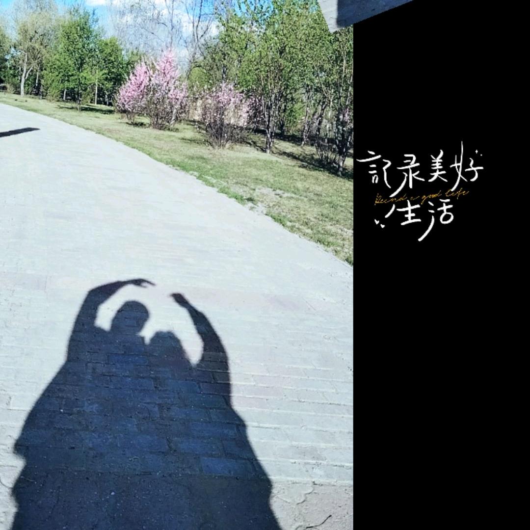 🕊´•ﻌ•`