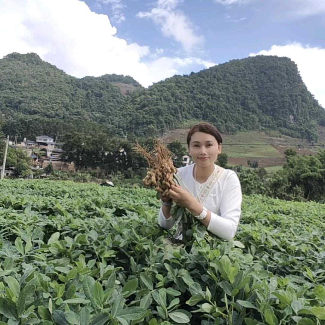 ✨七彩山地花生🌱
