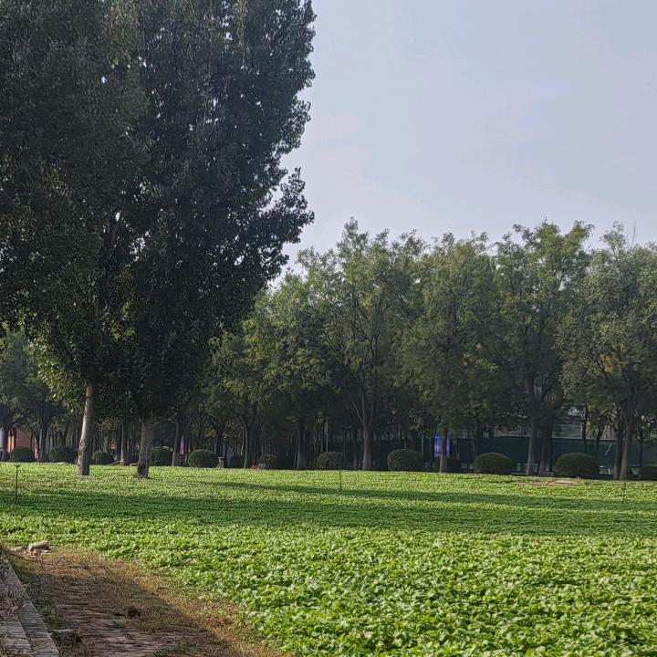 卢才汉