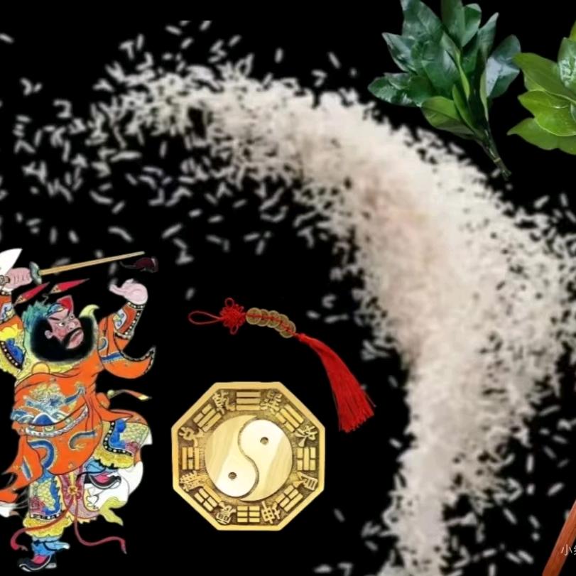胖胖的米虫