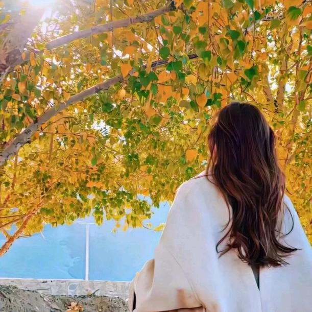 烟台搭子交友暖阳