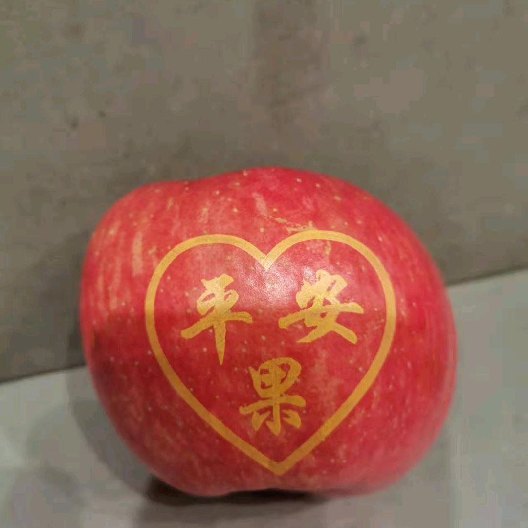 琳