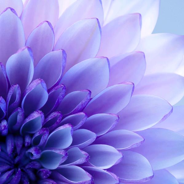 暖阳(｢･ω･)｢