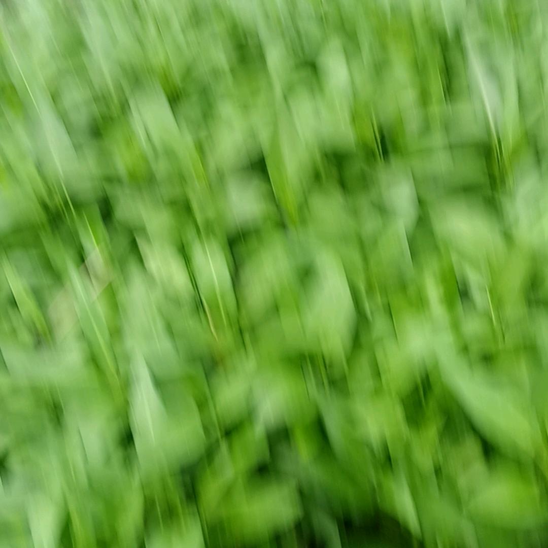笑笑
