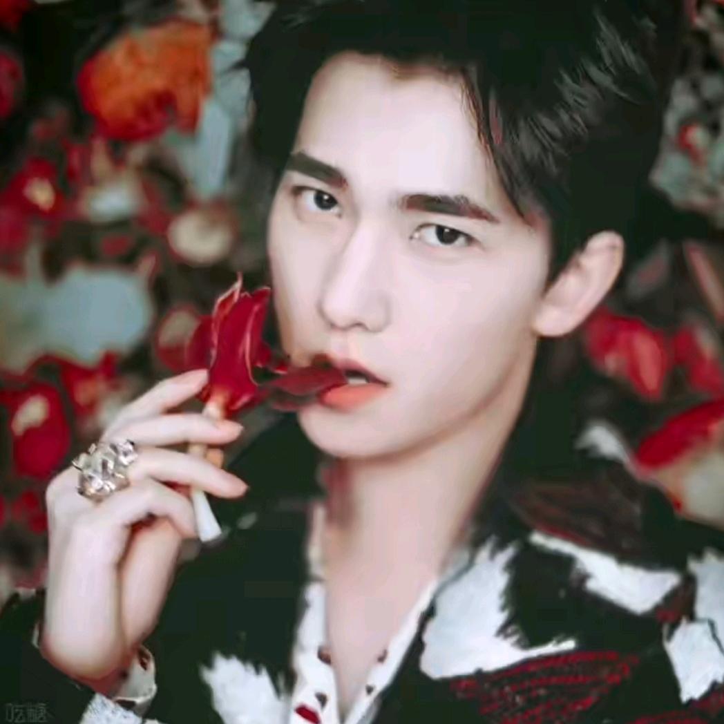 🌈烟火🌈星辰