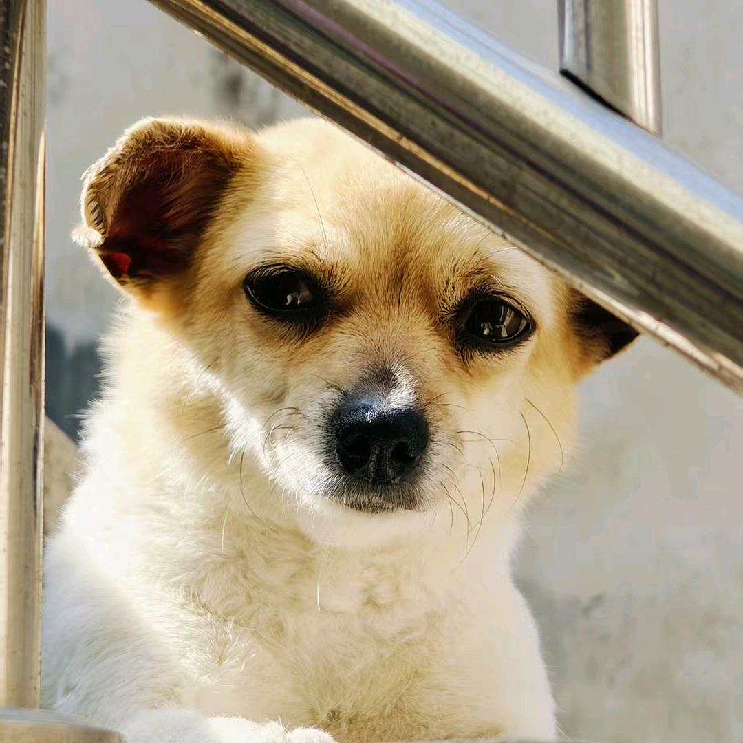 @我们的世界没有“我”