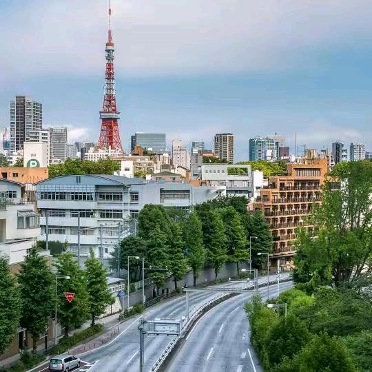 《我家的随缘哥》爱一个人不能放弃