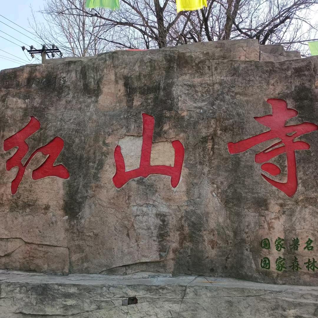 青岛花姐