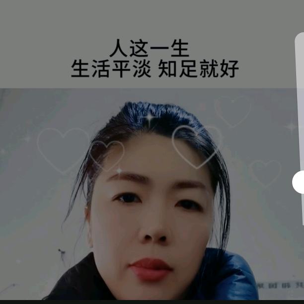河南琴姐