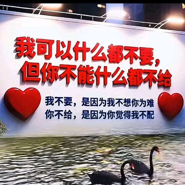 面朝阳光的向日葵