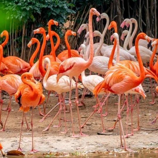 走片天涯，五湖四海为家