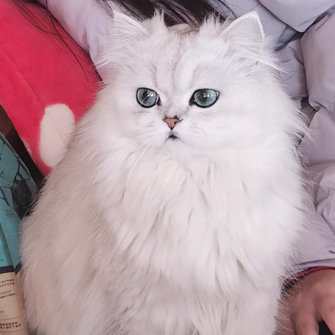 溜溜要恰饭