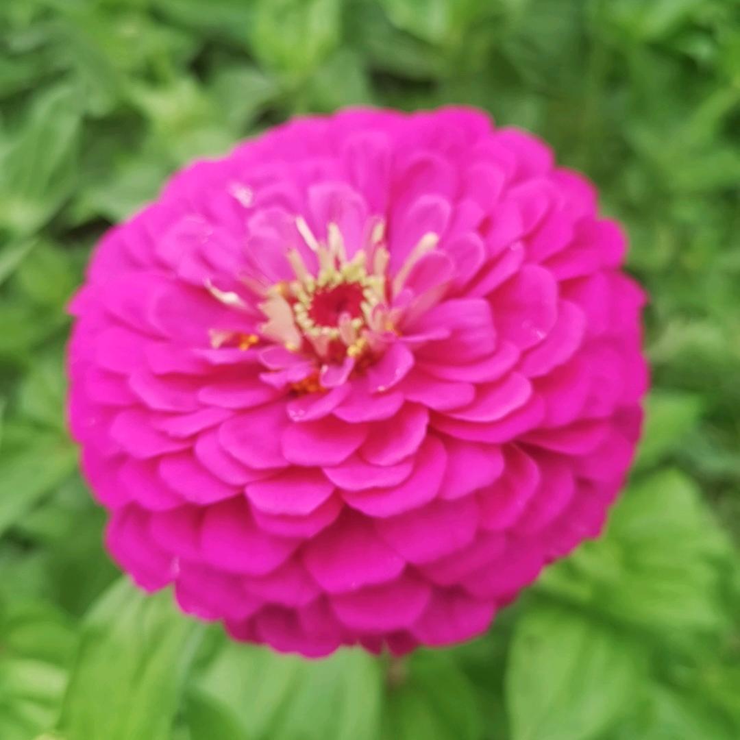 🐎⁰⁶.₁₉余℘࿐