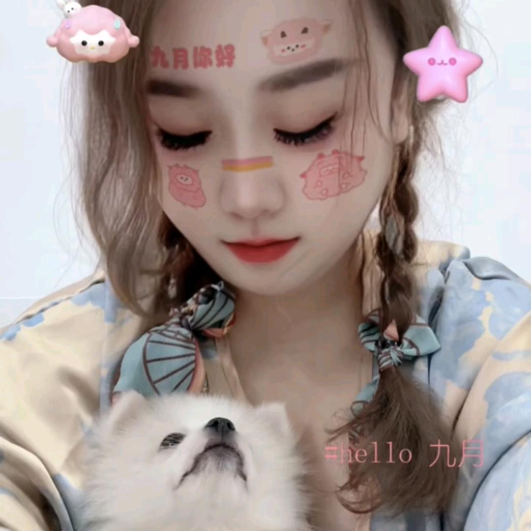王小花的宠物指南