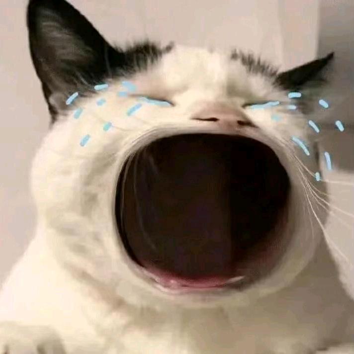 衬衫